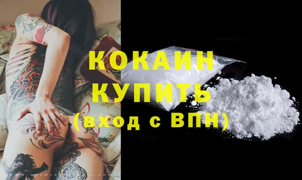 шишки Арсеньев